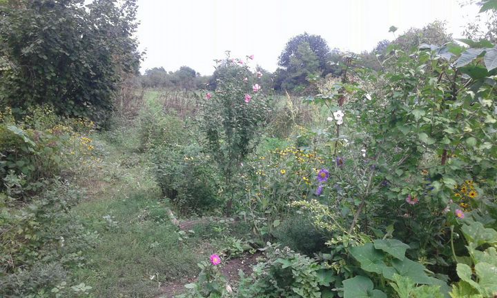 Дом 42,1 м² на участке 25 сот.