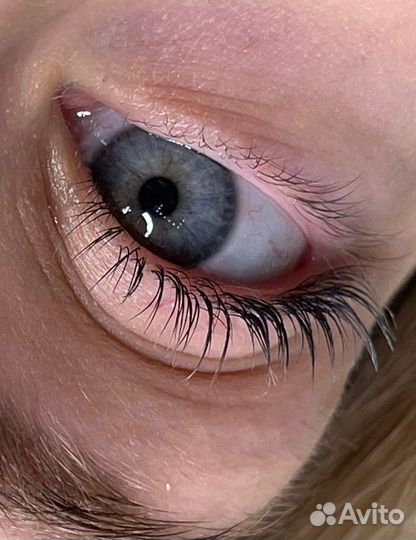 Окрашивание бровей, ламинирование ресниц