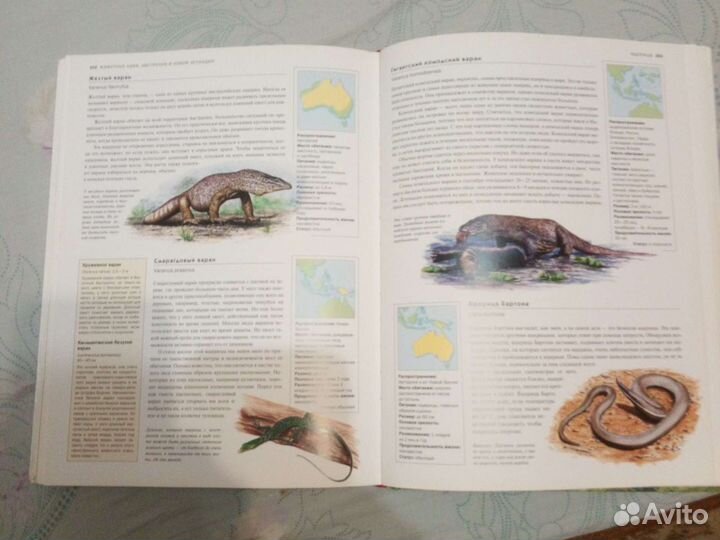 Энциклопедия 