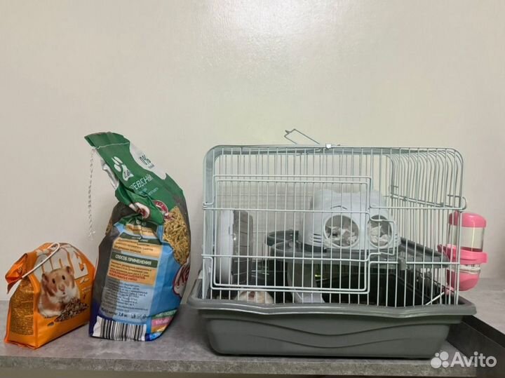 Хомяк с клеткой