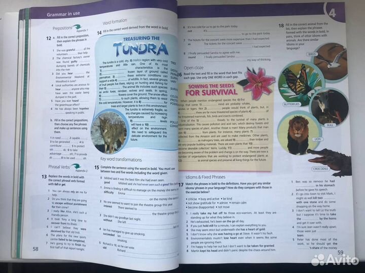 Upstream B2 Intermediate