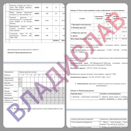 Бизнес-план