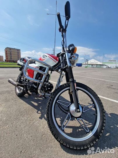 Alpha rx11 lux 125cc
