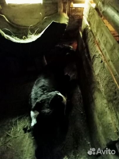 Частное лицо