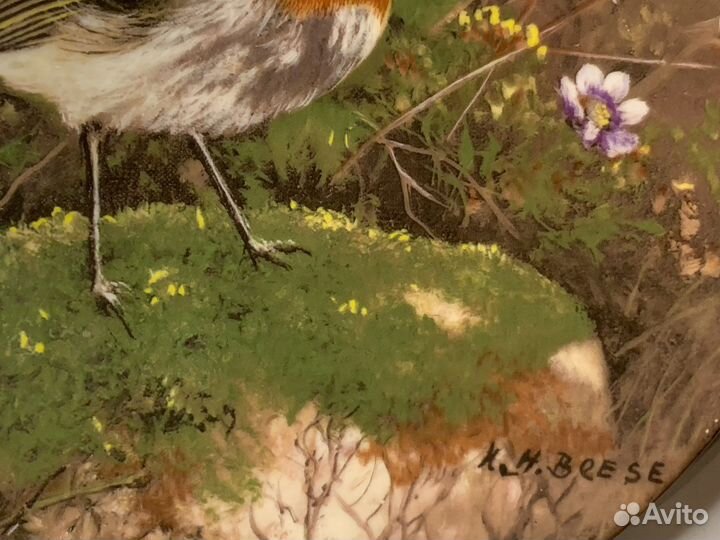 Немецкая Настенная Тарелка. Птицы. Винтаж Фарфор