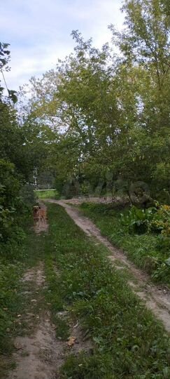 Участок 9 сот. (СНТ, ДНП)