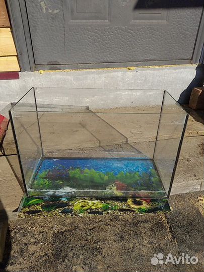 Аквариум
