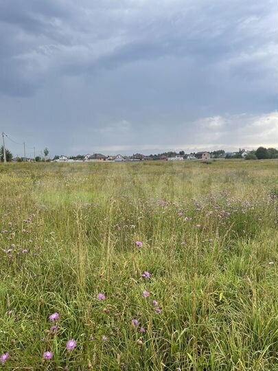 Участок 10 сот. (ИЖС)