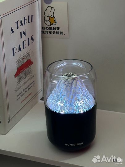 Увлажнитель воздуха