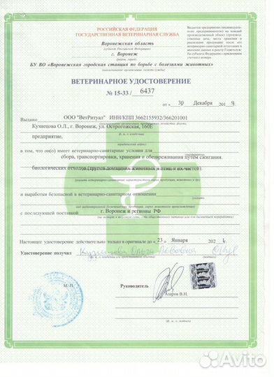 Усыпить собаку(кошку) на дому. Кремация животных