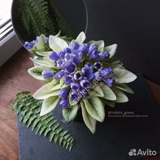 Мини фиалки и стандарты коллекционные почтой