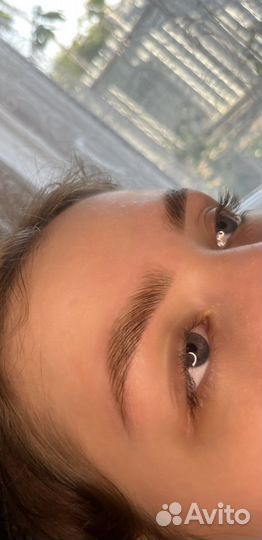 Мастер бровист