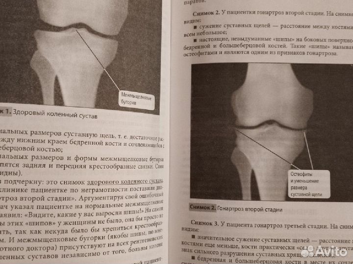 Большая книга здоровья доктора евдокименко