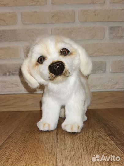 Собака реалистичная щенок лабрадора