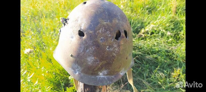 Шемах кольчужный