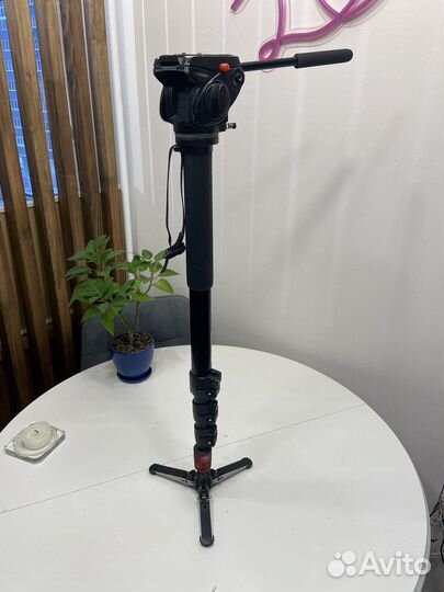 Монопод Manfrotto 561bhdv с видеоголовой 701HD