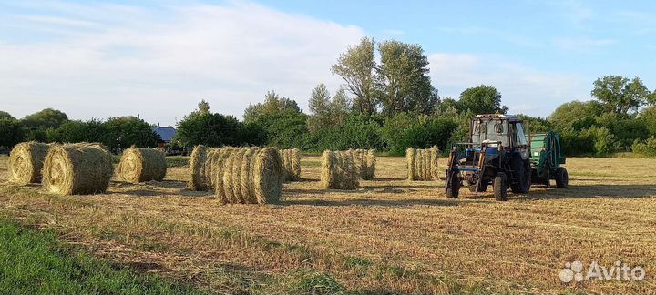 Сено в тюках и рулонах