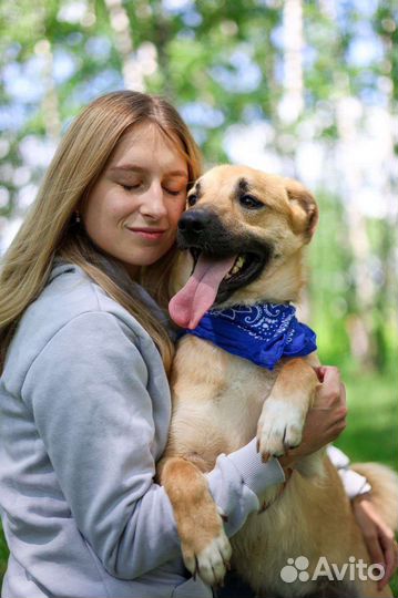 Малыш Батлер ждёт семью в приюте