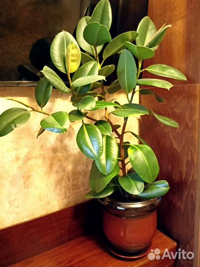 Горшок керамический напольный