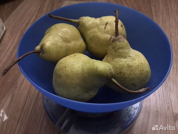 Весы кухонные механические