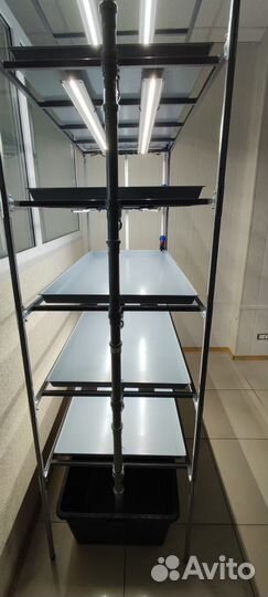 Стеллаж (гидропоника) для растений