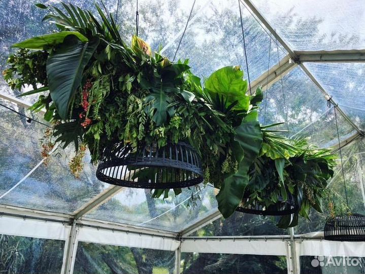 Стабилизированный Мох. Озеленение.Декорирование