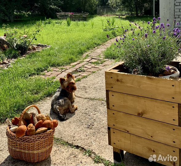 Кашпо ящики уличные деревянные