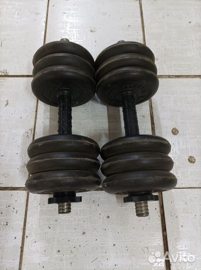 Гантели наборные Titan Barbell.ru 2 х 10,5 кг б/у