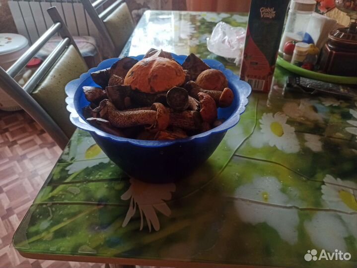 Грибы подосиновики