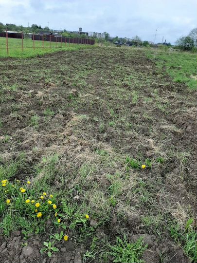 Участок 6 сот. (ИЖС)