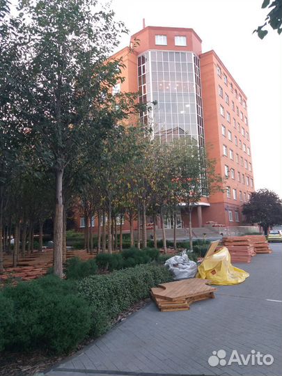 Уроки аргентинского танго, бачаты, восточный танец