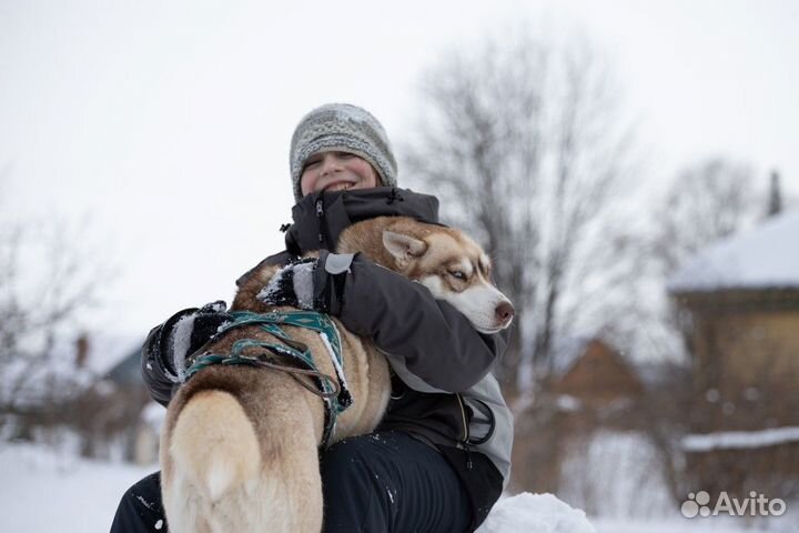 Экскурсия — Переславль-Залесский — Вгости ксибирск