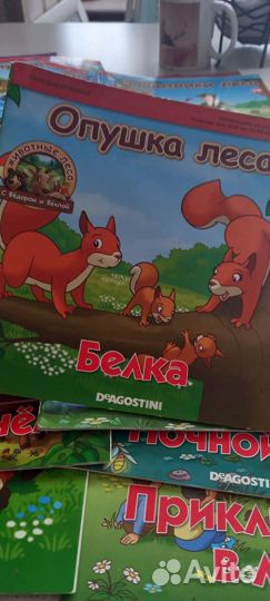 Коллекция 