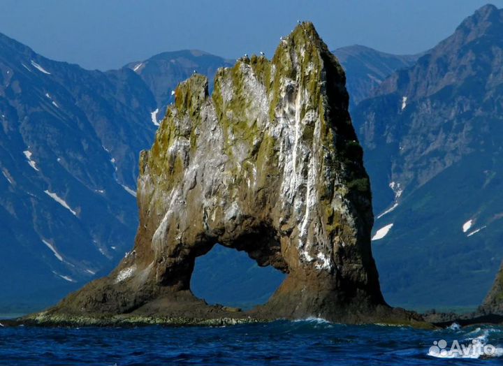 Турне на Kamchatku на 7 дн