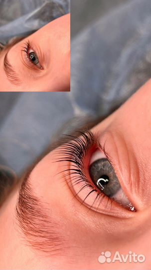 Курсы ламинирования ресниц, курс бровист