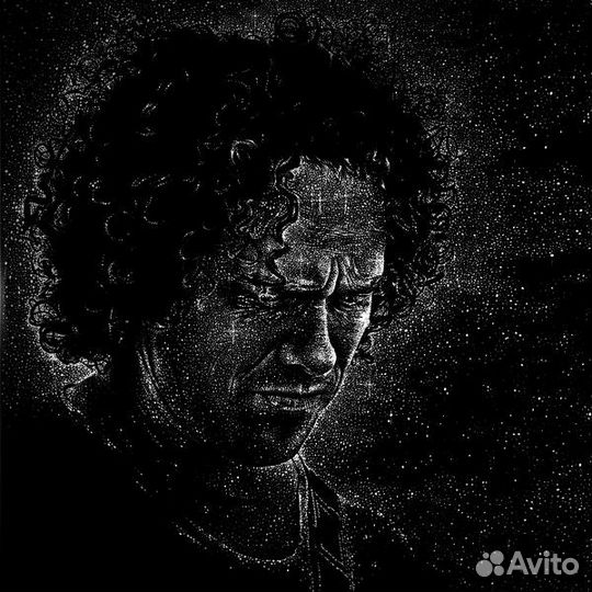 Daniel Cavanagh: Monochrome (2 LP ) (2 LP)