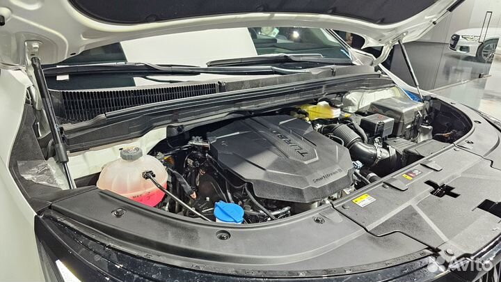 Kia Carnival 2.2 AT, 2024, 11 200 км