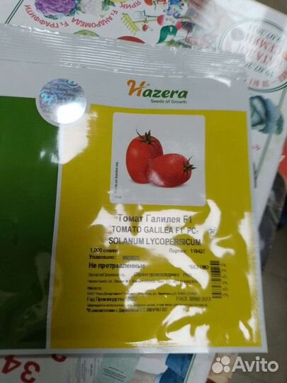 Семена томатов Галилея f1 10шт