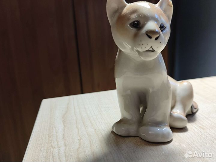 Коллекция собак