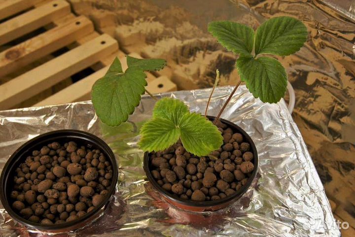 Керамзит мешками