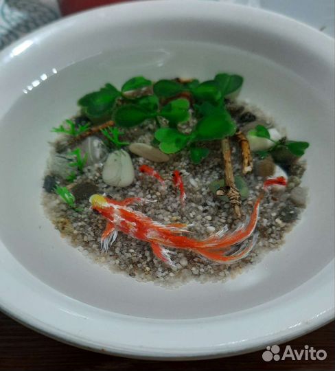 Тарелка с рыбкой