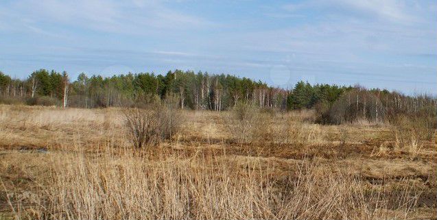 Участок 16 га (СНТ, ДНП)