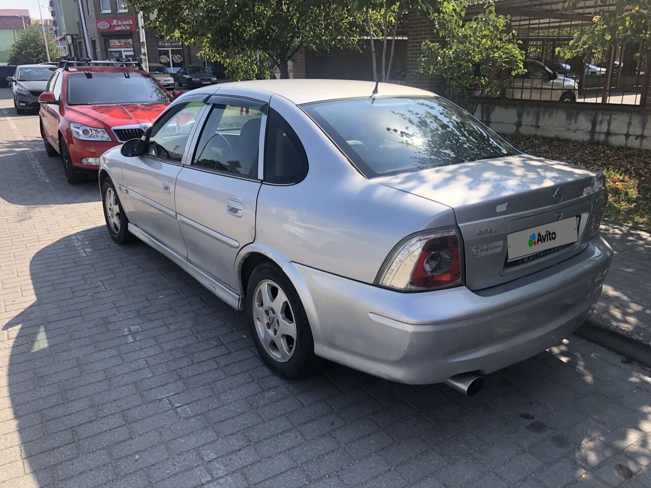 Opel Vectra: фото владельца