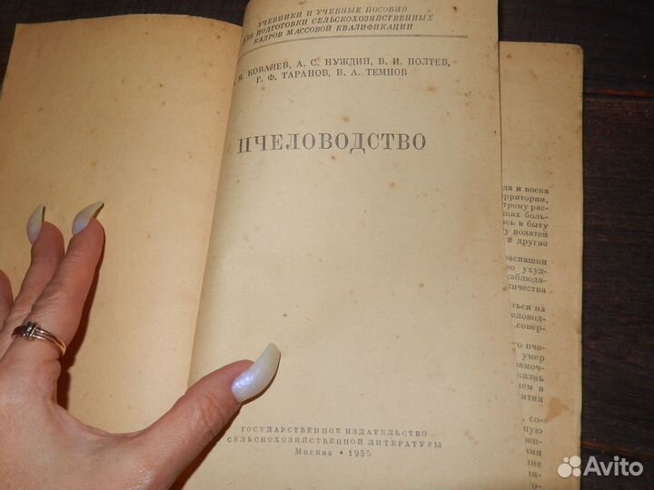 Пчеловодство