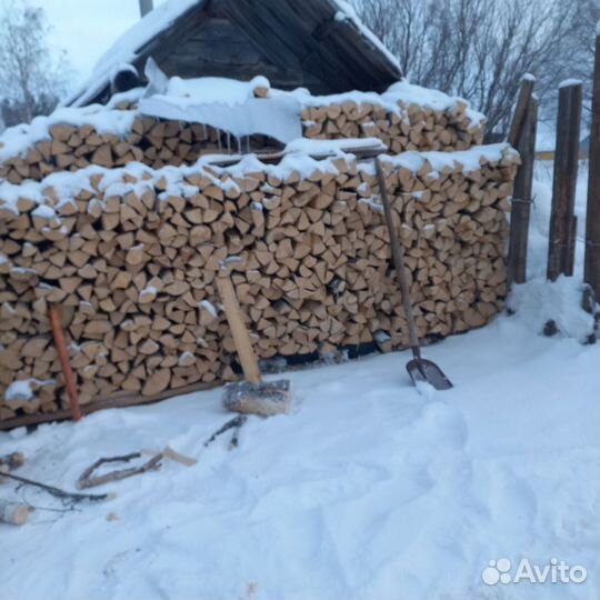 Дрова в мешках березоаые
