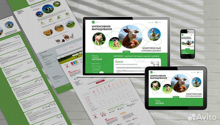 Веб дизайнер удаленно