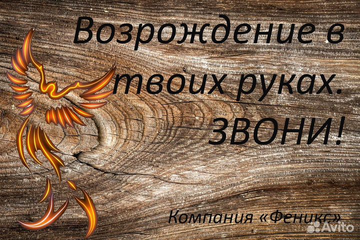 Слушатель, собеседник, психолог, нутрициолог