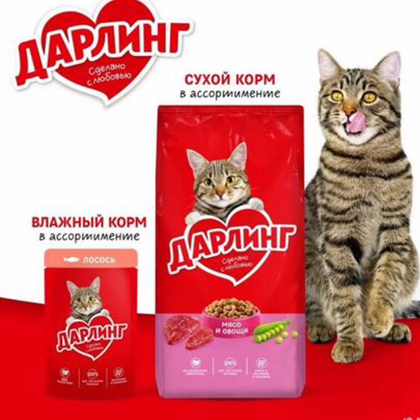 Корм для кошек