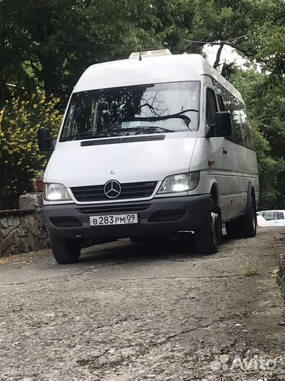 Перевозка пассажиров 20 человек