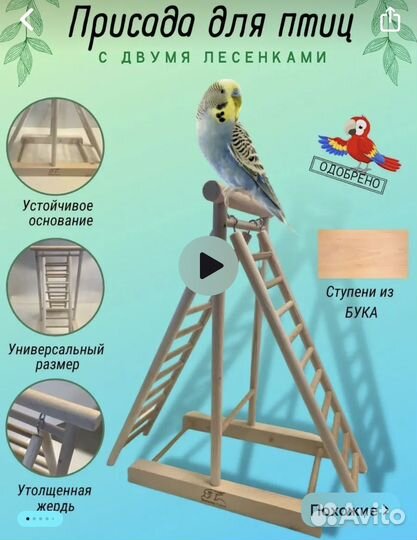 Лесенка для птиц